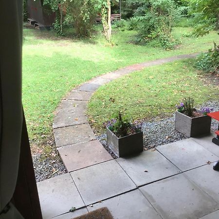 Caban Cwtch Villa Cenarth Luaran gambar