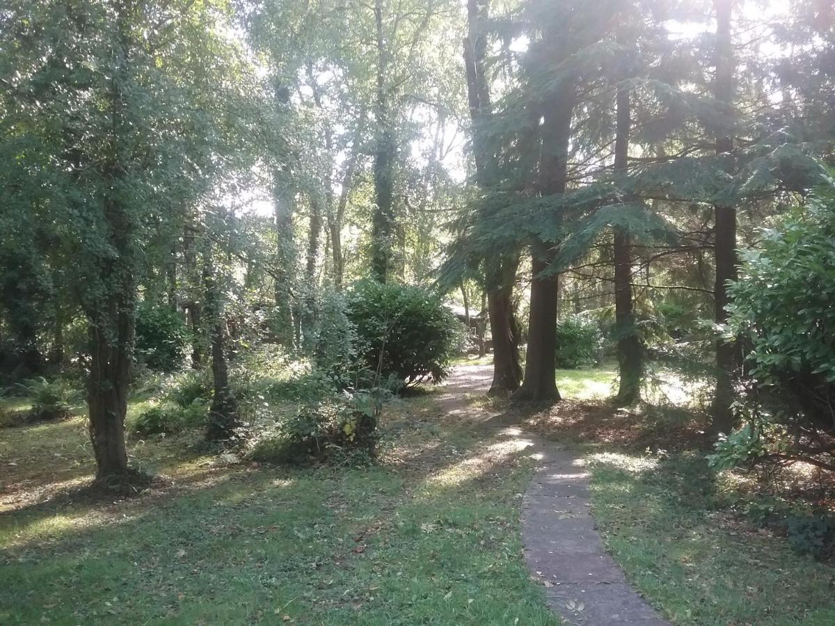 Caban Cwtch Villa Cenarth Luaran gambar