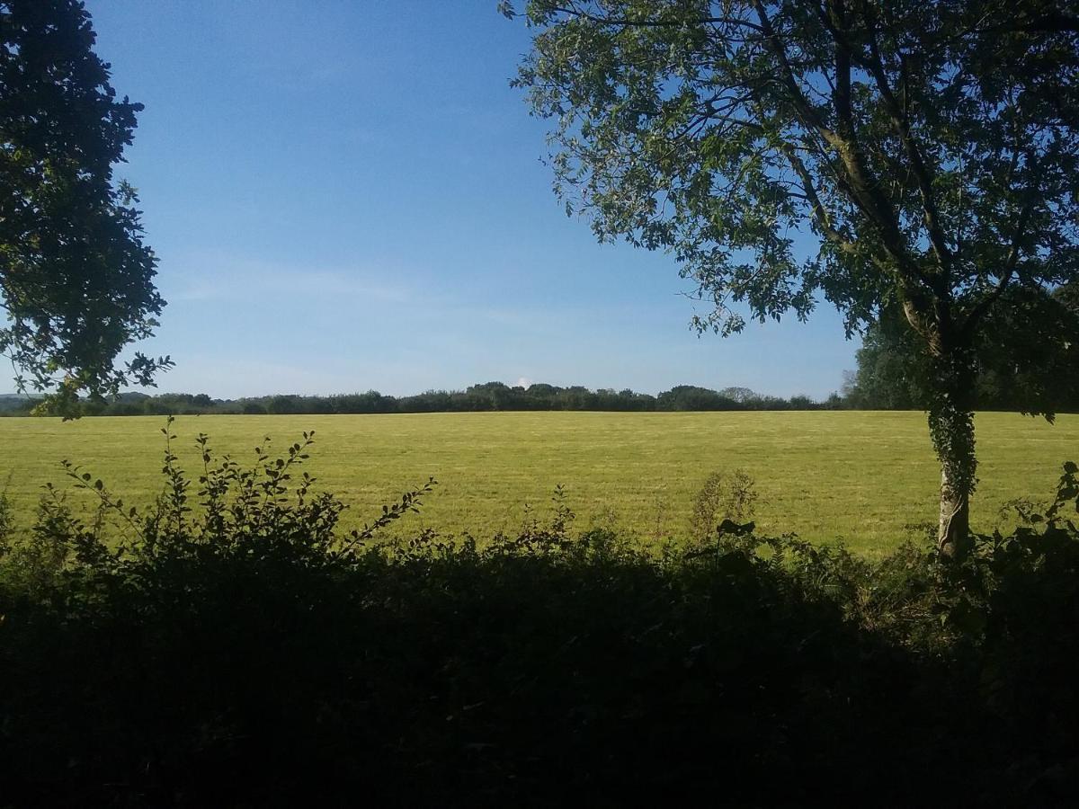 Caban Cwtch Villa Cenarth Luaran gambar
