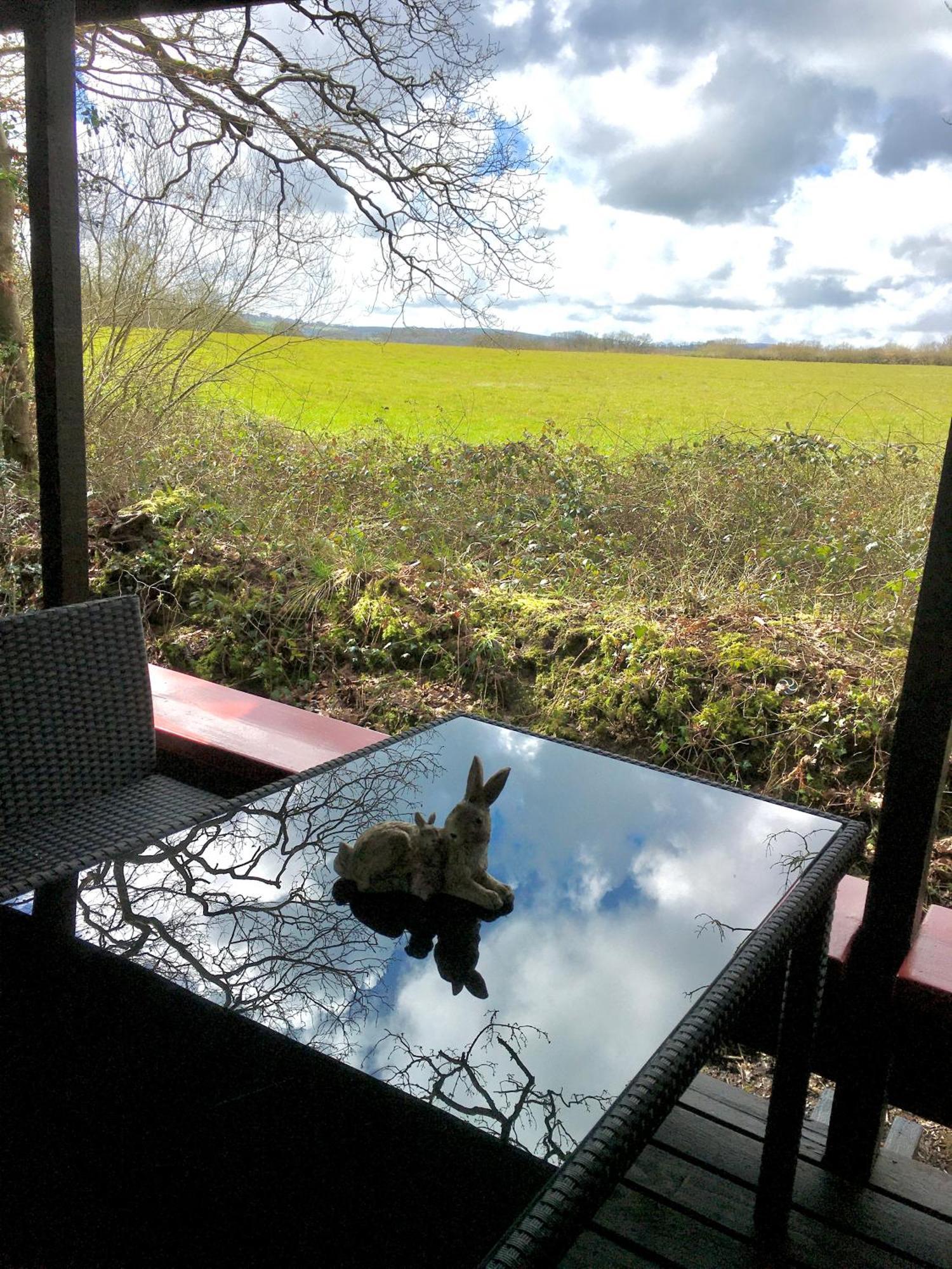 Caban Cwtch Villa Cenarth Luaran gambar